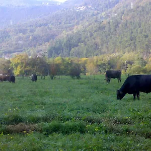 Biobiò Alloggio per agriturismo